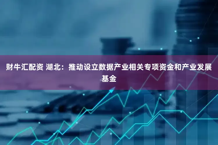 财牛汇配资 湖北：推动设立数据产业相关专项资金和产业发展基金