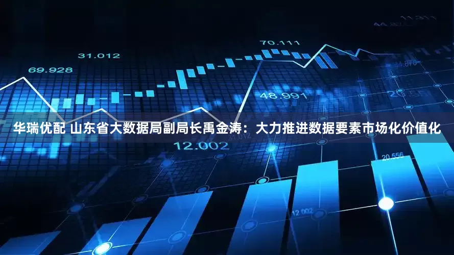 华瑞优配 山东省大数据局副局长禹金涛：大力推进数据要素市场化价值化