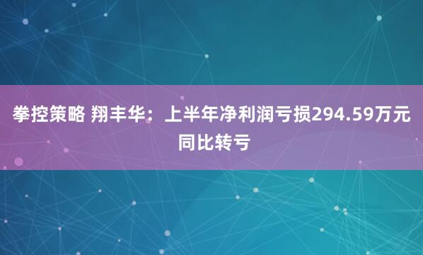 拳控策略 翔丰华：上半年净利润亏损294.59万元 同比转亏
