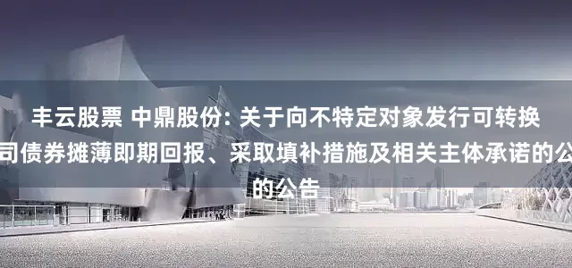 丰云股票 中鼎股份: 关于向不特定对象发行可转换公司债券摊薄即期回报、采取填补措施及相关主体承诺的公告
